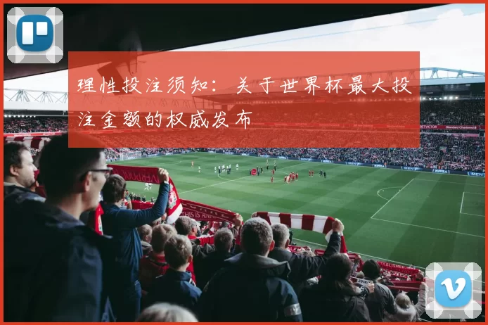理性投注须知：关于世界杯最大投注金额的权威发布