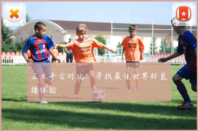 五大平台对比：寻找最佳世界杯直播体验