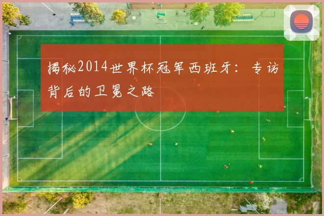 揭秘2014世界杯冠军西班牙:专访背后的卫冕之路