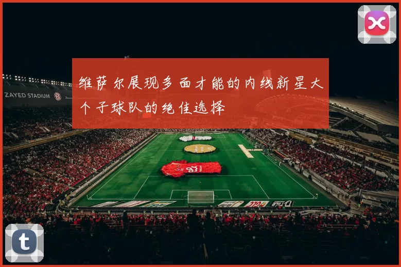 维萨尔展现多面才能的内线新星大个子球队的绝佳选择