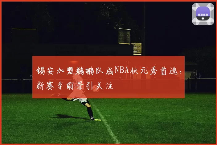 锡安加盟鹈鹕队成NBA状元秀首选，新赛季前景引关注