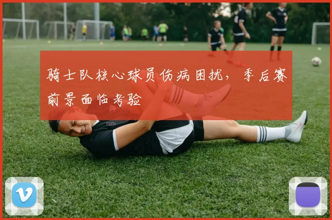 骑士队核心球员伤病困扰，季后赛前景面临考验