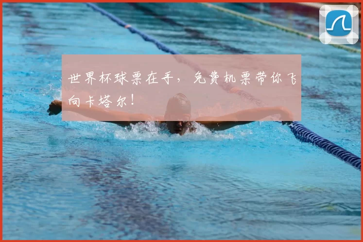 世界杯球票在手,免费机票带你飞向卡塔尔!