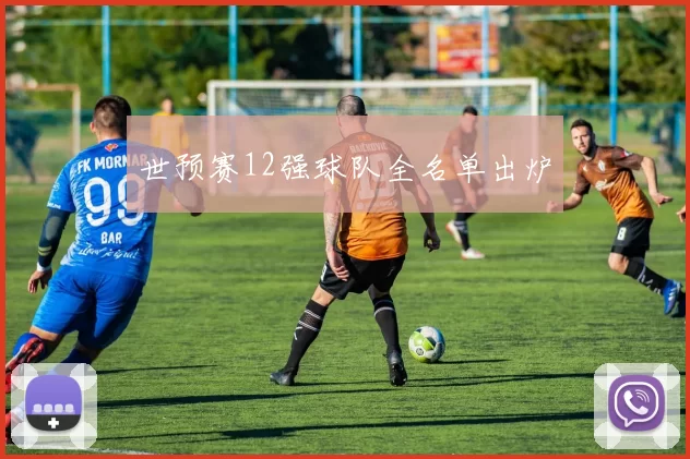 世预赛12强球队全名单出炉