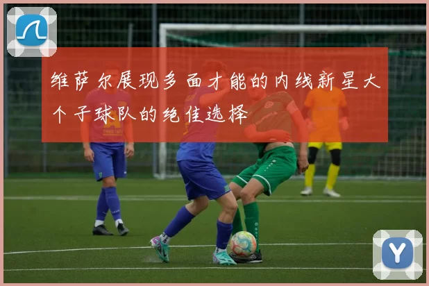 维萨尔展现多面才能的内线新星大个子球队的绝佳选择