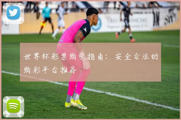 世界杯彩票购买指南：安全合法的购彩平台推荐
