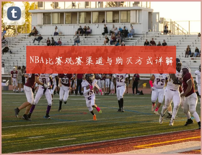NBA比赛观赛渠道与购买方式详解